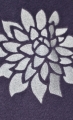 BLUZA TRENINGOWA POLAROWA CAMILE KIDS
bluza bardzo miła i ciepła , bluza na treningi , bluza na wyjazdy konne, bluza do stajni, bluza do innych aktywności stajennej